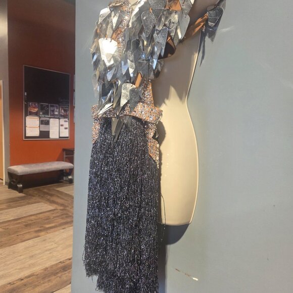 VESA SILVER FRINGE LATIN RHYTHM BALLROOM DRESS - Picture 6 of 13